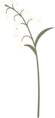 Lily Of The Valley Blooming Botanical Line Art