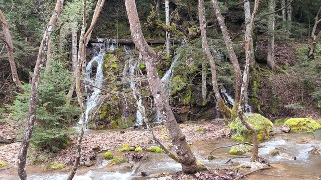 View of tranquil waterfall gently flows along the Asopos River in Pavliani Recreational Park, beside the charming village of Pavliani, set on the forested slopes of Mount Oeta.
