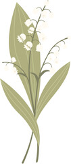Lily Of The Valley Bouquet Botanical LineArt