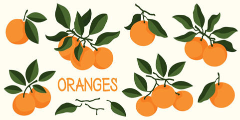 Fresh orange oranges fruit set leaves branch ripe citrus collection simple style flat healthy food icon sticker © Yeva Pysmenna