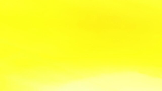 Professional Video Film Transition Overlay for Editing Projects
