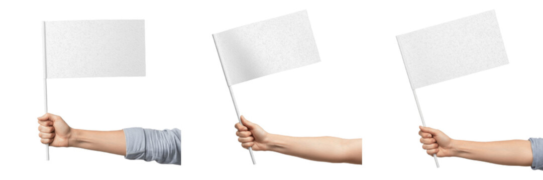 Set and collection of human hands holding small blank white flags for protest, peace, marketing, and communication concepts isolated on white transparent PNG background