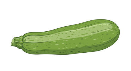 Single fresh green zucchini with mottled skin and a small stem is shown in a detailed botanical vegetable drawing.