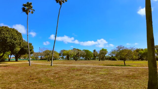 Beautiful day in the park. Morningside Miami scene on a sunny day