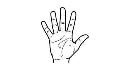 Obraz premium Detailed line art illustration of an open human palm displaying all five fingers on a clean white