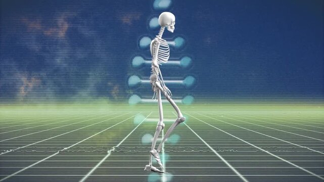 Skeleton walking across grid after animation start, showing rhythmic gait linking to DNA helix