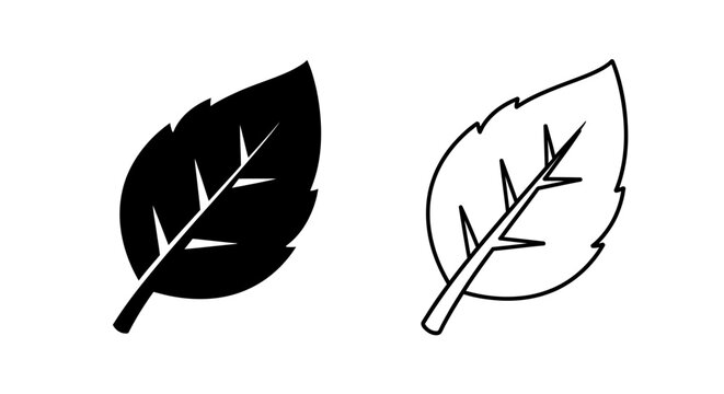 Black and white leaf illustration with contrasting solid and outline Vector
