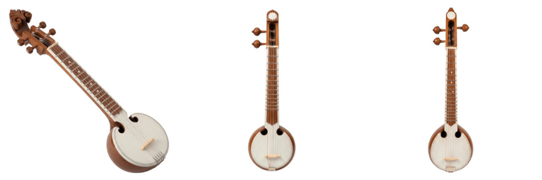 Dotara isolated on white background, traditional Bengali string instrument, दोतारा, Baul folk plucked lute from West Bengal and Bangladesh, Bharatiya lok sangeet studio cutout high resolution image
