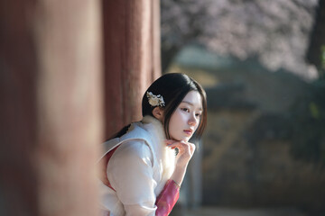 밀양향교 돌담과 매화 아래, 한복 여인의 봄 산책