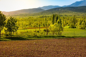 Golden hour rural landscape with tilled field and distant mountains. Brilliant spring foliage...
