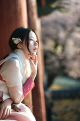 밀양향교 돌담과 매화 아래, 한복 여인의 봄 산책