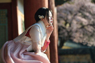 밀양향교 돌담과 매화 아래, 한복 여인의 봄 산책