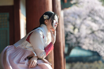 밀양향교 돌담과 매화 아래, 한복 여인의 봄 산책