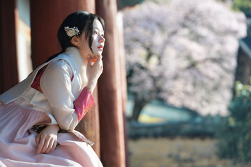 밀양향교 돌담과 매화 아래, 한복 여인의 봄 산책