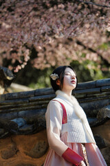 밀양향교 돌담 아래 매화와 한복 여인의 봄 풍경