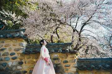 밀양향교 돌담 아래 매화와 한복 여인의 봄 풍경