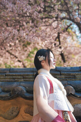 밀양향교 돌담 아래 매화와 한복 여인의 봄 풍경