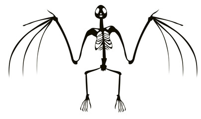 Bat Skeleton