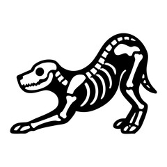 Fototapeta premium Dog skeleton stretching pose, front legs extended forward