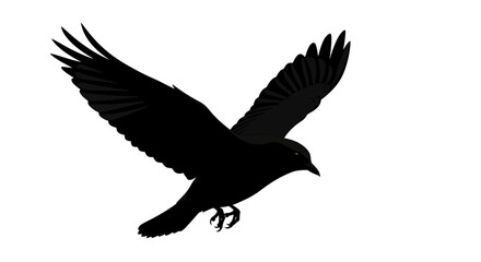 Naklejka premium Black Crow in Flight Silhouette Against White Background.