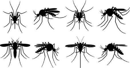 Mosquito silhouette icon set, flying insect poses for pest control, disease vector awareness, entomology symbols, black minimalist vector illustration collection © Beauty