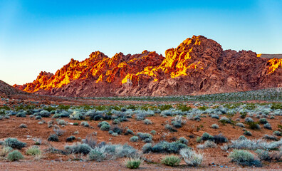 Rocky Formations at Golden Sunset in Valley of Fire State Park Nevada