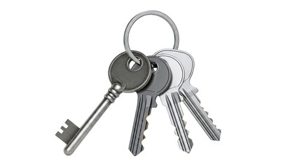 Bunch of Metal Keys on a Ring