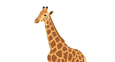 Giraffe Standing Alone with Long Neck.