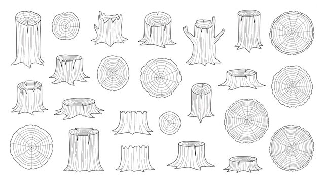 Tree Trunk and Stump Symbols Plan View Abstract Outline Vector Set for Site Mapping
