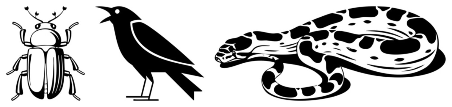 Vector illustration of insect, bird, and snake in bold style. Insect with antennae, crow with open beak, python coiled with spots. Animal, wildlife symbols, graphic design elements.