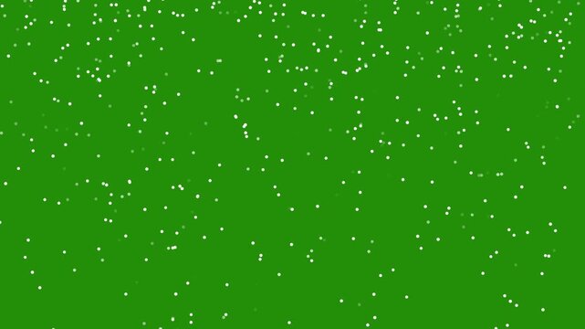 snow winter holiday green screen background. White Snowfall Effect animation on green screen background. Christmas & Holiday Video Overlay.