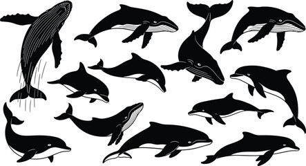 Whale and dolphin silhouette set, jumping humpback whale, swimming dolphins, marine life collection, sea mammals, ocean wildlife, aquatic nature, underwater. © Anamul Arafat