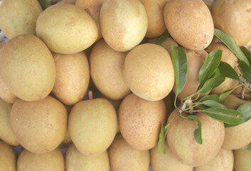 Many fresh sapota or chikoo fruits as background	