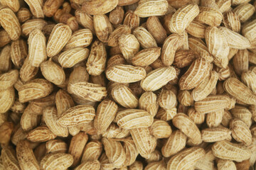 Fototapeta premium Many raw peanuts as background