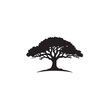 Arjun Tree Silhouette Vector Icon Isolated on White Background