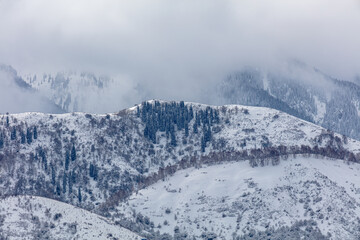 Fototapeta premium Landscape, mountains, trees, snow, winter, city, clubs.
