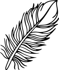 Obraz premium Black and white illustration of a single feather with detailed lines and a curved shape