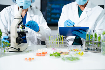 Fototapeta premium Scientists conducting biotechnology laboratory research with plant and food samples. Medical innovation, healthcare testing, pharmaceutical