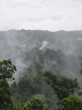 A mystical, foggy jungle landscape in Asia with no people, showcasing dense tropical rainforest trees on a mountain. The horizontal composition captures a serene and vast natural environment.