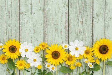 Obraz premium Sunflower and white cosmos flower border on a rustic green wooden background flat lay