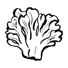 舞茸の線画イラスト
