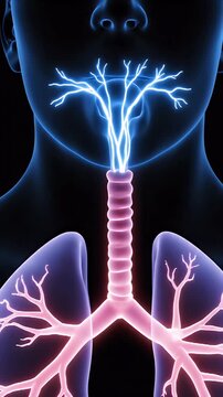 Abstract 3D Animation of Laryngeal Sensory Afferent Nerves Firing with Blue Electric Impulses on Black Background Medical Scientific Concept