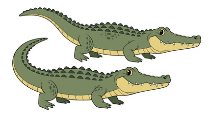 Obraz premium Realistic and detailed illustrations of two crocodiles, showcasing their powerful presence and natural habitat in the wild.