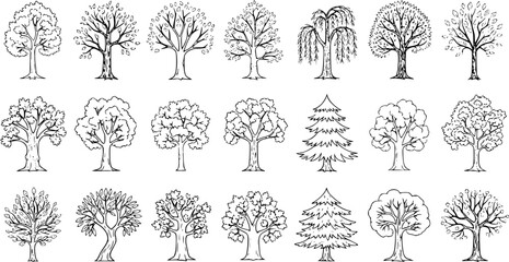 Set of 24 diverse hand-drawn tree illustrations. Black and white line art sketches featuring various tree types like deciduous, evergreen, and bare for nature and plant designs. © pixsource