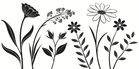 A beautiful illustration of various flowers and plants in black and white © Meraj