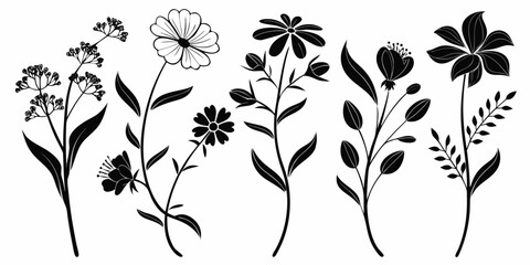 A beautiful illustration of various flowers and plants in black and white © Meraj