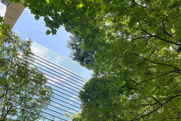Green and modern office building under blue sky 緑に囲まれた高層ビルと青空 ©  camellia