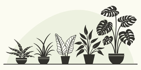 A variety of potted plants arranged in a row with different sizes and shapes. © Shahin