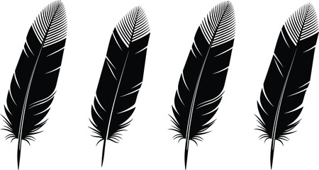 Set of black feather silhouettes isolated on white background, detailed bird plumage vector illustration collection for design and decoration © Habiba's World