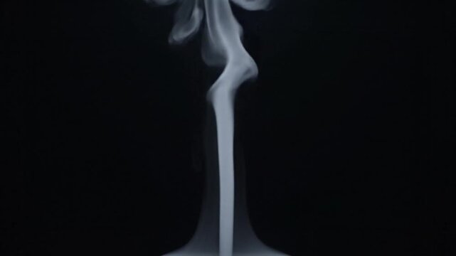 Abstract white smoke mushroom shape rising from dark background